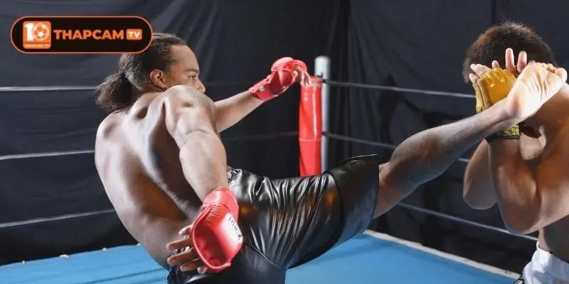 Một vài mẹo khi xem trực tiếp kickboxing